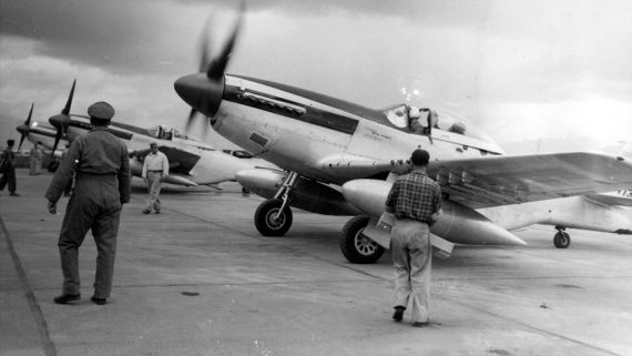Mustangs in La Aurora