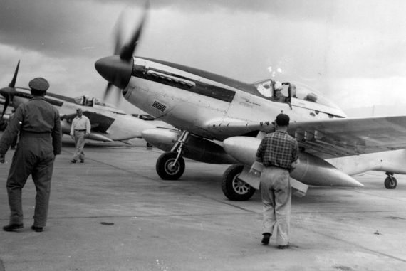 Mustangs in La Aurora