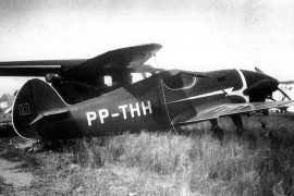 IPT Bichinho PP-THH